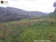 Pitsida Süd Kreta, Pitsida Grundstück 2.400 m² mit toller Aussicht Grundstück kaufen